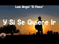Luis Angel "El Flaco" - Y Si Se Quiere Ir (letra)