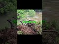 Buffalo River Up and Muddy 4-29-26