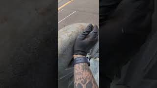 how to replace a cable on a main line Gorlitz sewer machine