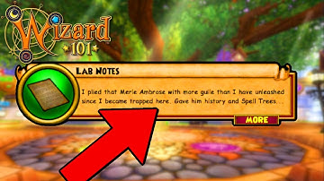 The Future Of Wizard101 Just Became CRAZY...