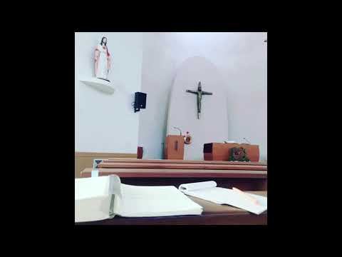 떨기나무 305 - 내 맘에 오시는 주