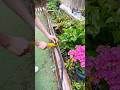 part 52 || install an automatic watering machine at home👍