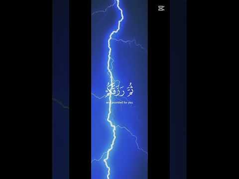 ١٩ نوفمبر ٢٠٢٥