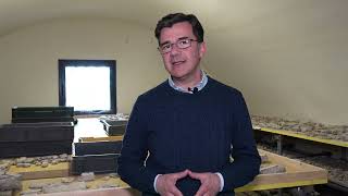 Marcello Pelillo talks about the latest news from the Repair project
