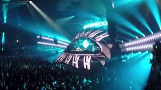 Audiotricz Demi Kanon - Fallen Horizon Reverze 2017