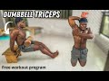 5 Exercises to build your Triceps at home (Dumbbell only) - Free workout program