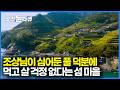 조상님이 섬마을 전체에 심어둔 풀 덕분에 평생 먹고 산다는 사람들 도시 나가서 살던 아들도 돌아왔다 마을 전체 먹여살리는 풀 정체 한국기행 골라듄다큐