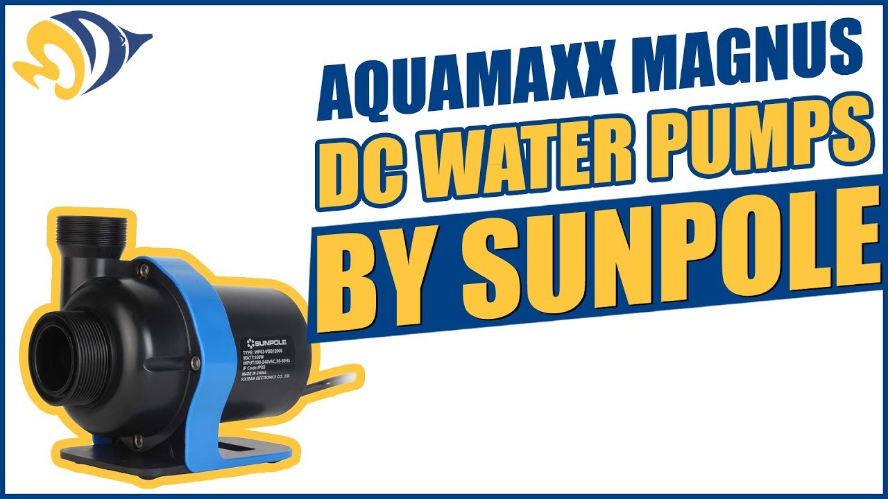 aquamaxx magnus dc water
