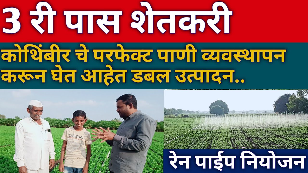 कोथिंबीर पाणी व्यवस्थापन करण्याची योग्य पद्धत | kothimbir lagwad in marathi | आधुनिक शेती आणि उद्योग