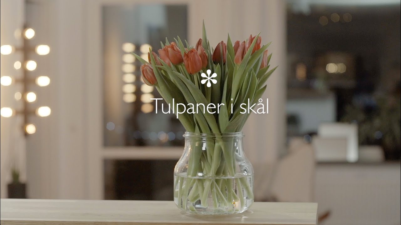 Supersmarta vardagstips för ditt vardagsrum youtube