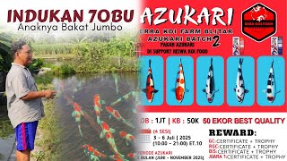 Jumbo Warranty❗Shiro Jumbo Breeding | Erra Koi Farm Blitar
