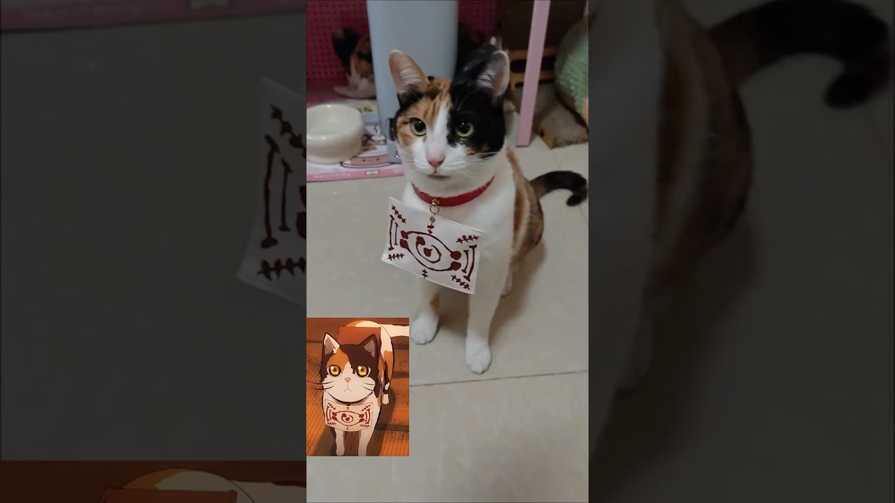 Chachamaru #anime #game #fyp #kimetsunoyaiba #demonslayer #chachamaru #cat #cos #cosplay #cosplayer