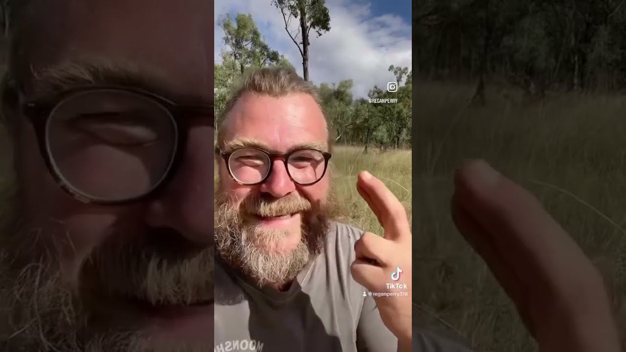 That time we caught a swarm with just a plywood box (March 2024)