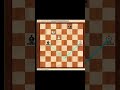 Слоновый эндшпиль.Основные идеи. #shorts #chess #chessgame #шахматы #sports #chesscom #chesstactics