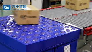 Balance Wheel Sorter