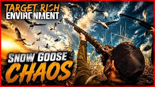 Snow Goose! - Target Rich Environment - Snow Goose Chaos - 4K