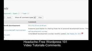 WordPress Blog Creation Step-by-Step by Sye Wells #2 screenshot 4