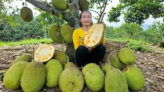 FULL VIDEO: Harvest long beans, green buddha's hand, longan, jackfruit, lemons goes to market sell