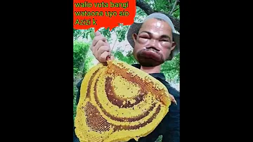BANGI MBAYA 
