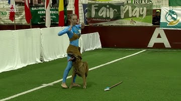 Dog Dancing European Championship 2023 Hungary – HTM Final – Alexandra Vavrová   Yasi