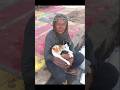 Nenek Dan Kucingnya Di Lampung Yang Viral #shorts #cat #kucing #animals #kitten #pets