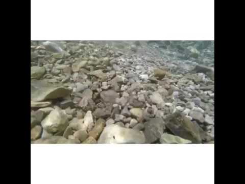 fossil hunting texas san marcos river youtube