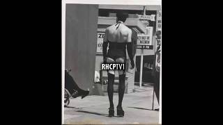 Photos of Anthony Kiedis' father dressed in Transvestite! (History of the Scar Tissue Book)