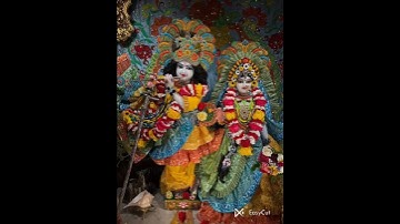 Jai shree radhe❤️#love #likeforlikes #like #viral#shorts #shortsfeed #radheradhe #radhakrishna#reels