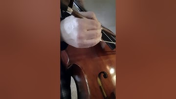 New Tempera strings bowed up close