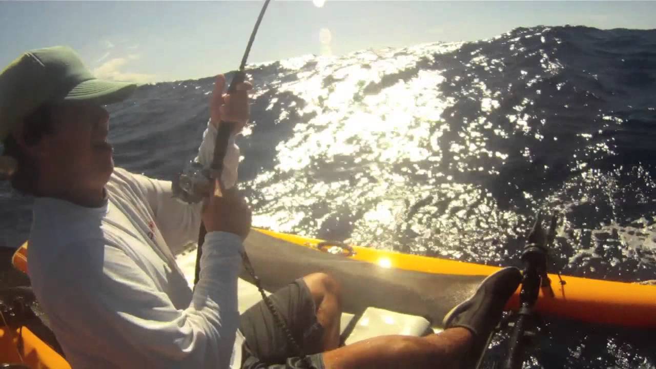 Extreme Kayak Fishing Maui, Hawaii Ch.6 Waiehu Water Patrol YouTube