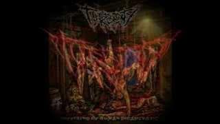 TURBIDITY - The Amelia's Revenge (Jasad Cover)