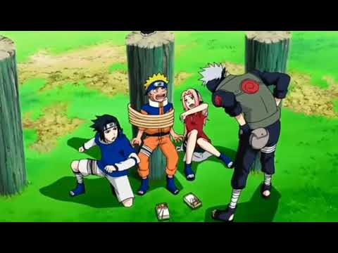 Team 7 Twixtor
