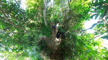 Trekking Meru Betiri 4K