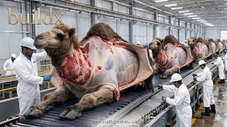 From Camel Hide To Luxury Jacket Inside The Worlds Largest Leather Factory