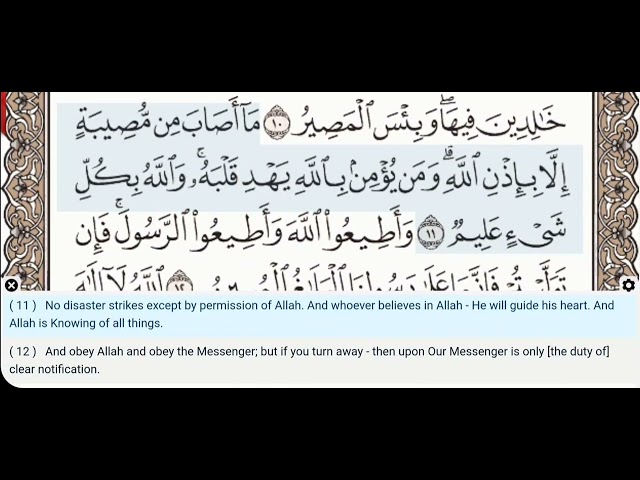 Yangi turmush qurganlar teleserialidagi porno aktrisa etuk dirijyor erotik