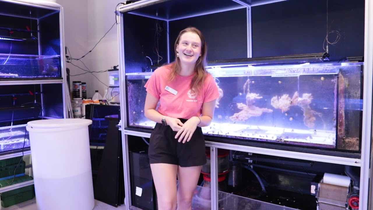 Hyperspectral Imaging for Coral Assessment.- 16min