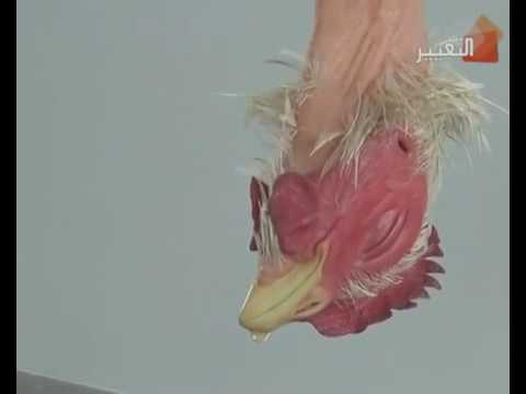 معلومات عن فن النحت وعن الفنان ماكرون