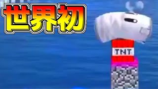 世界で１人しか成功していない「ホムコンの裏技」がヤバすぎんだろｗｗ【スマブラSP：みんなの投稿】