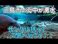 三島市の街中が湧水　サンダル持って三島へ行こう！！