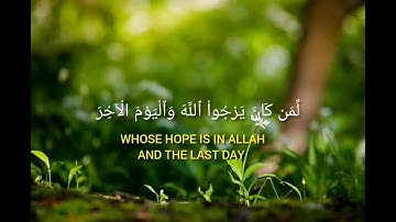 تلاوة جميلة/للشيخ محمد أيوب