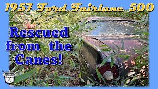 1957 Ford Fairlane 500 - ABANDONED in the Canes - Attempting to DRIVE for the FIRST TIME! by RevStoration 43,057 views 3 months ago 59 minutes