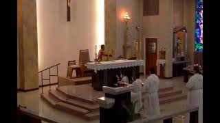 The Solemnity of the Most Holy Body & Blood of Christ June 7, 2026