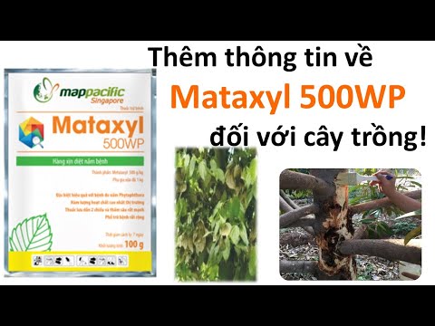 Video Tất tần tật về hướng dẫn sử dụng Mataxyl 500WP |... - youtube