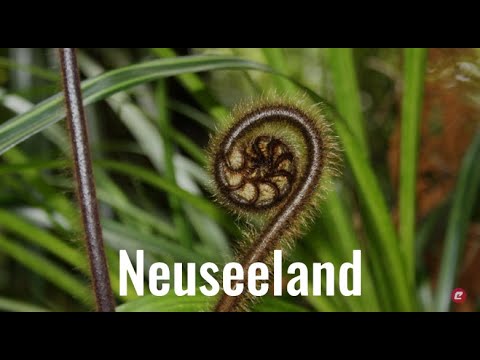 Video: Neuseeland - Ökotourismus am Ende der Welt