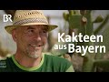Kakteen aus dem Chiemgau: Lebensweg mit Dornen | Zwischen Spessart und Karwendel | BR