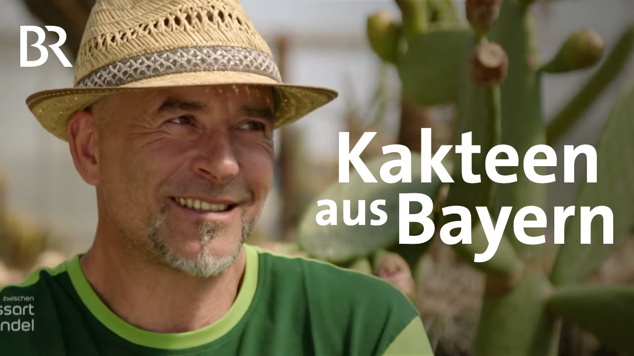 Kakteen aus dem Chiemgau: Lebensweg mit Dornen | Zwischen Spessart und  Karwendel | BR