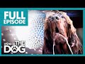 The Dog With OCD: Max | Full Episode | It's Me or The Dog