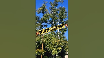 💥HET IS MAAR ÉÉN BOOM! GELOOF HET OF NIET! #shorts