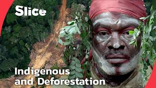 The Punu People and Their Fight to Protect Gabon’s Sacred Forests | SLICE | FULL DOCUMENTARY