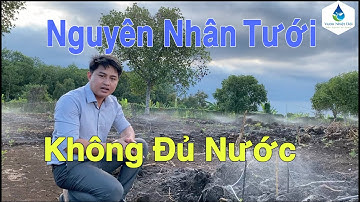 Mô hình tưới hiệu quả cho vườn sầu riêng, chỉ một cây 2 béc BS7000 R8 150lit/h